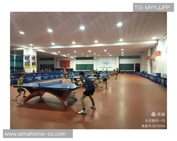 成都乒乓球队耐力排名创新高引发广泛关注与热议