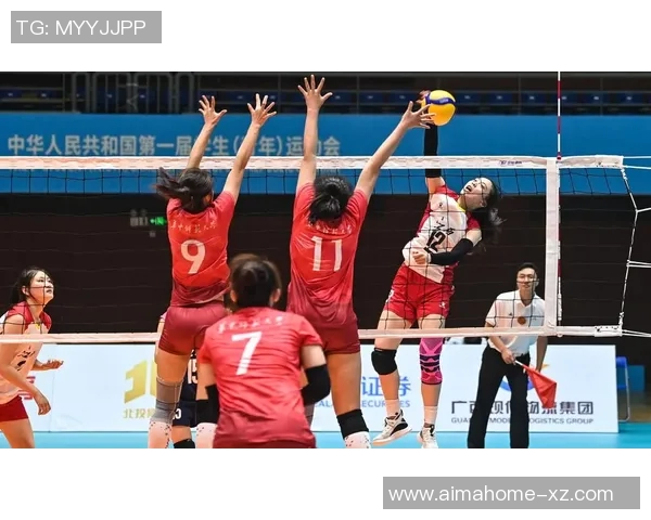 上海排球队的精神之旅：探索排球背后的团队意识与文化魅力