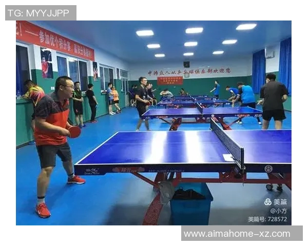 南京乒乓球队总决赛精彩表现分析与比赛经验总结