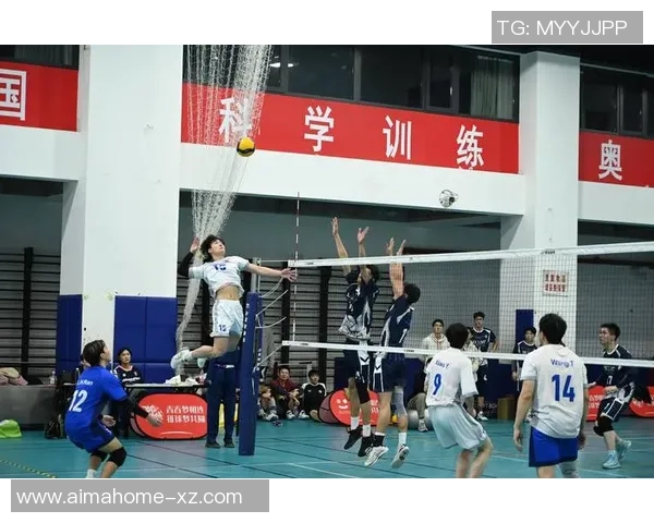 广州排球队在排球状态排行榜中荣获第三名展现强劲实力与团队合作精神