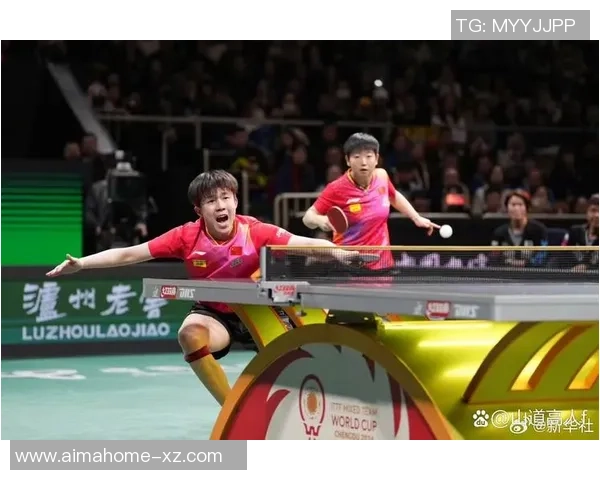 杭州乒乓球队奋斗历程揭秘世界锦标赛背后的拼搏与荣耀