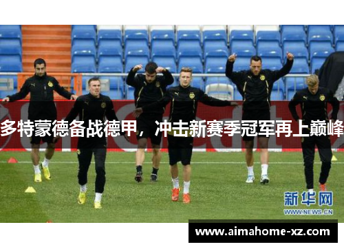 多特蒙德备战德甲，冲击新赛季冠军再上巅峰